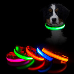 Colar de LED que brilha no escuro, recarregável - SuperLight